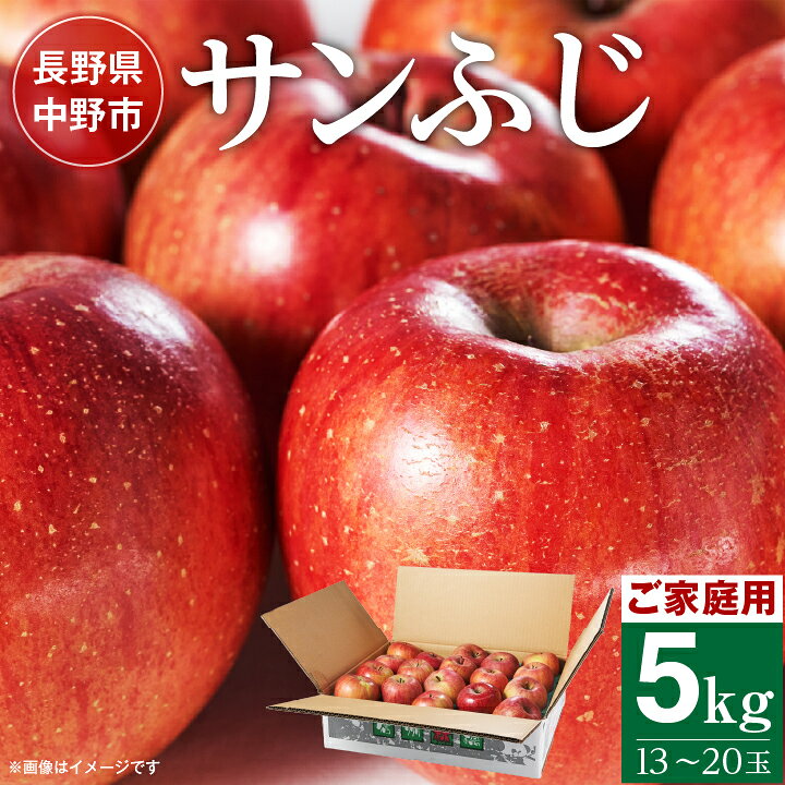 長野県北部 ご家庭用 サンふじ5kg_ りんご ふじ サンふじ リンゴ 林檎 サンふじりんご 甘い 訳あり わけあり 長野県 信州産 産地直送 不揃い 傷 家庭用 自宅用 5kg 秋 冬 くだもの 果物 果実 フルーツ デザート おやつ【1211763】