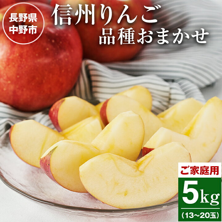 ご家庭用 信州りんご5kg_ 訳あり わけあり ワケアリ りんご 林檎 リンゴ フルーツ 果物 ふるーつ くだもの 国産 旬 家庭用 規格外 傷 不揃い 産地直送 信州 長野 人気 品種 送料無料 産直 【1246339】