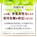 長野県中野市の画像2