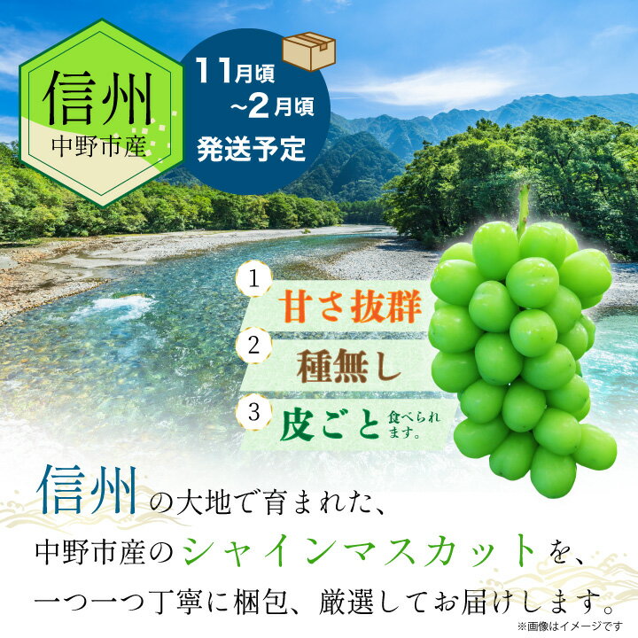 【ふるさと納税】【冷蔵】　長野県　中野市産　シャインマスカット2房(1.3kg以上)【配送不可地域：離島】【1331174】