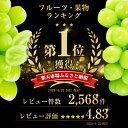 長野県中野市の画像3