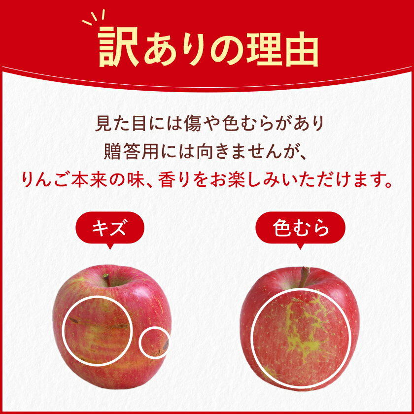 長野県中野市の画像3