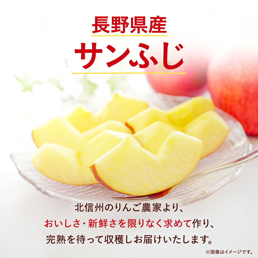 【ふるさと納税】【先行予約】長野県産 サンふじ りんご 家庭用 訳あり 10kg(25～43玉)_ 林檎 リンゴ 訳あり 訳アリ わけあり 10kg 長野県 信州 くだもの 果物 フルーツ 人気 サンフジ 特産品 産地直送 キズ 中野市 常温 家庭用 規格外 新鮮 北信州 農家 【1449710】