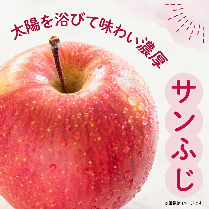 【ふるさと納税】JA中野市の産直りんご「サンふじ」ご家庭用 10kg以上(28～36玉入)【1481009】