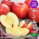 【ふるさと納税】JA中野市「サンふじ」ご家庭用「小玉」5kg以上(18〜23玉入)_ りんご リンゴ 林檎 ふじ フジ サンフジ サンふじ 小玉 家庭用 フルー...