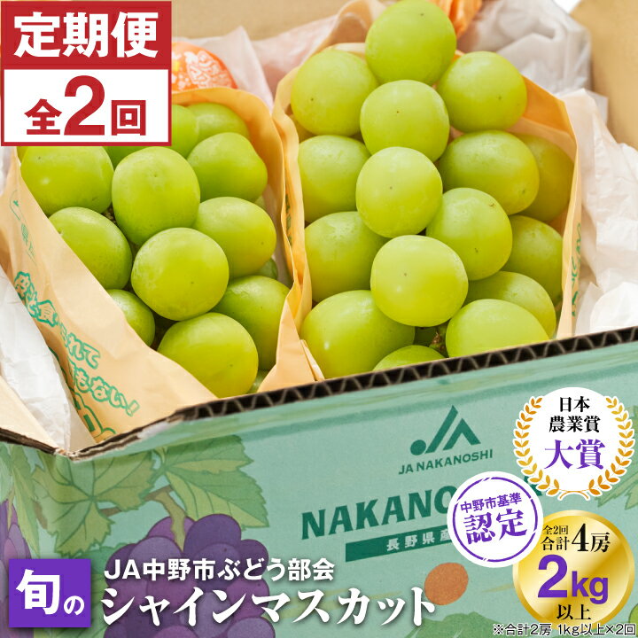 【発送月固定定期便】JA中野市から直送 シャインマスカット約1kg以上 全2回_ マスカット ぶどう ブドウ 葡萄 フルーツ 果物 くだもの 人気 美味しい ふるさと 長野県 中野市 【配送不可地域：離島】【4007372】