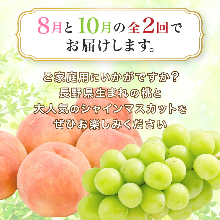 【ふるさと納税】【発送月固定定期便】訳あり桃2.1kg(8月)・訳ありシャインマスカット1.3kg(10月)全2回【配送不可地域：離島・北海道・沖縄県】【4052143】