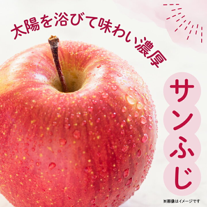 【ふるさと納税】JA中野市「サンふじ」ご家庭用「小玉」10kg以上(40～46玉入)【1481013】