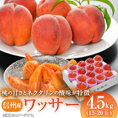 【ふるさと納税】信州産ワッサー4.5kg_ 桃 もも 果物 くだもの フルーツ モモ ネクタリン 信州産 ワッサー 長野県 北信 中野市 固め 硬め 珍種 珍しい 【配送不可地域：離島】【1232141】のサムネイル