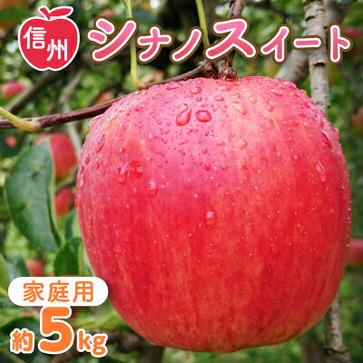 【ふるさと納税】〈信州中野まつじるし農園〉シナノスイート家庭用 約5kg【1206440】