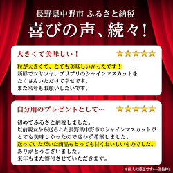 【ふるさと納税】2022年10月上旬お届け!時期を選んで先行受付JA中野市ぶどう部会旬のシャインマスカット1kg以上【1208519】 画像1