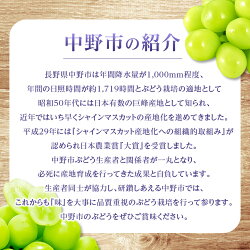 【ふるさと納税】2022年10月上旬お届け!時期を選んで先行受付JA中野市ぶどう部会旬のシャインマスカット1kg以上【1208519】 画像2