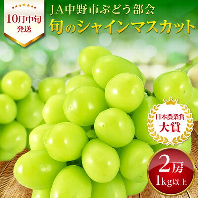 【ふるさと納税】2023年10月中旬発送!長野県JA中野市ぶどう部会　旬真っ盛りのシャインマスカット1kg以上【配送不可地域：離島】【1272454】