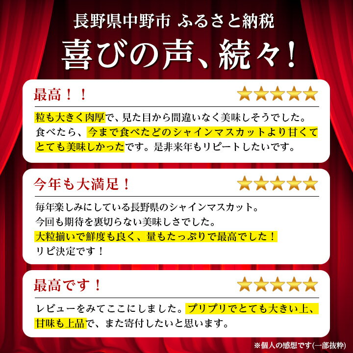 【ふるさと納税】＼中野市大人気シャインマスカット／_【先行予約】JA中野市から直送 シャインマスカット1kg以上 2024年9月下旬～11月上旬発送 _ シャインマスカット 日本農業賞大賞 受賞 マスカット ふるさと 長野県 フルーツ ぶどう 【配送不可地域：離島】【1272457】