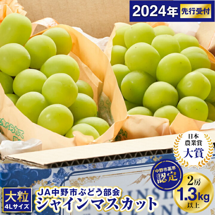 [先行予約]JA中野市直送!大房シャインマスカット2房1.3kg以上2024年9月下旬〜11月上旬発送 _ ふるさと納税 シャインマスカット 長野県 2024 房 が 大きい 4L 大粒 贈答用 ギフト ふるさと ぶどう 人気 ランキング [配送不可地域:離島]