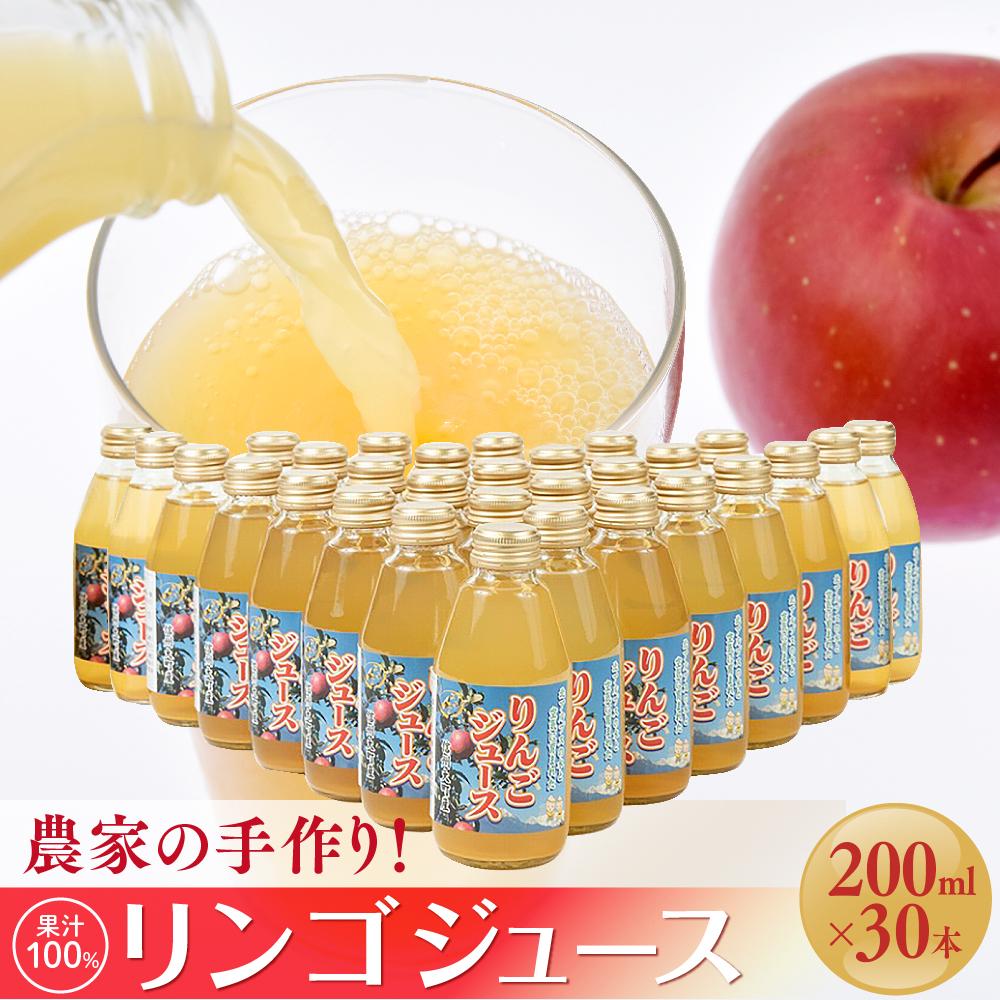 【ふるさと納税】農家の手作り！果汁100%リンゴジュース（2