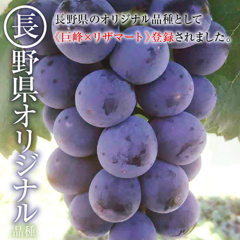 長野県大町市の画像3