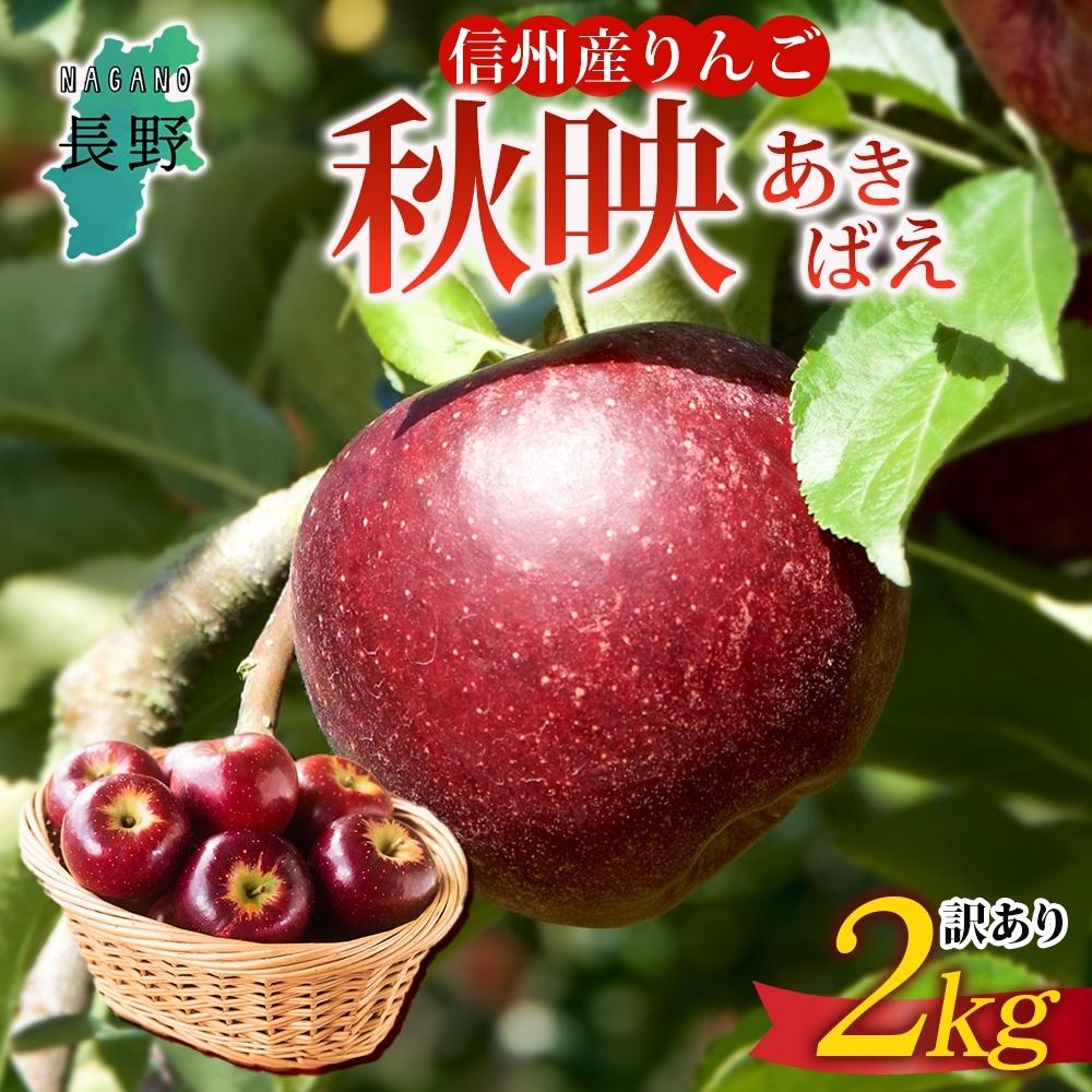 [26年発送 先行予約]長野県産 りんご 秋映 訳あり 約2kg リンゴ 旬 フルーツ 訳アリ 林檎 果物 規格外 自家用 産地直送 農園 産直 お取り寄せ もぎたて 採れたて 送料無料 堀田農園 信州 大町市