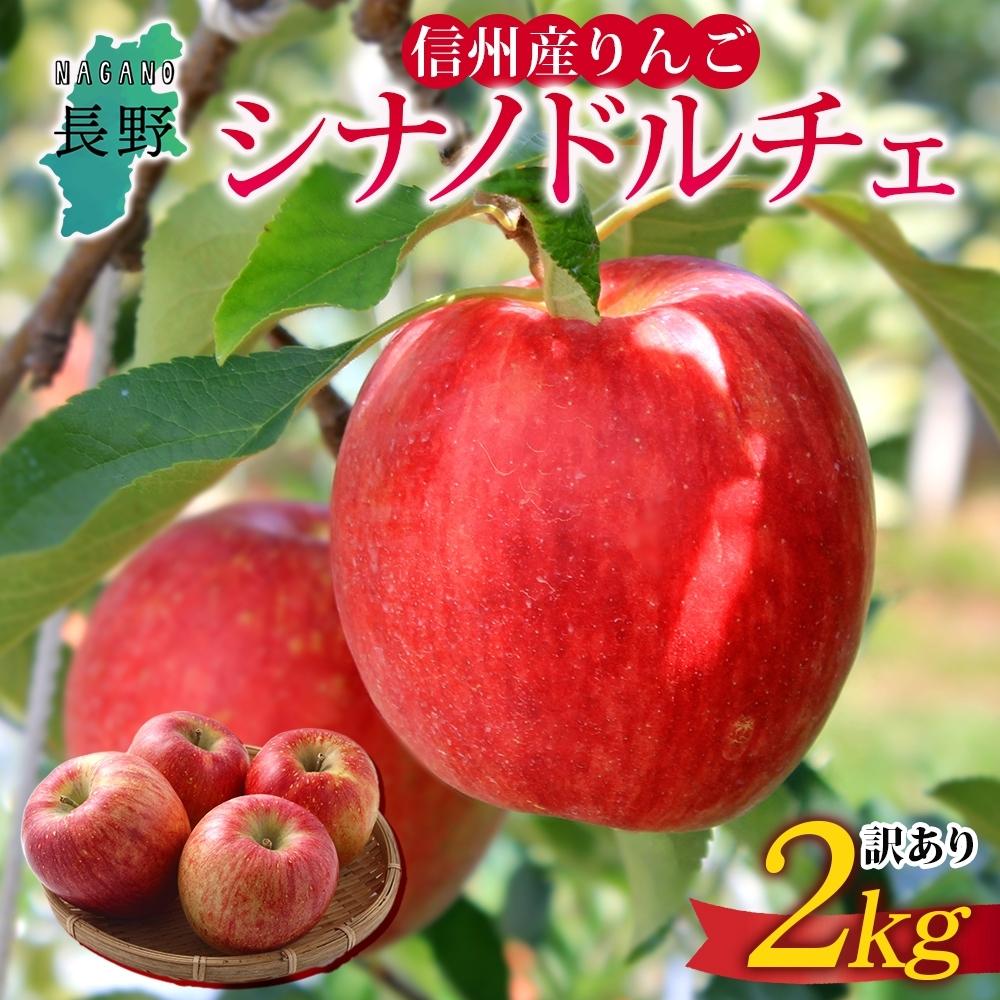 [26年発送 先行予約]長野県産 りんご シナノドルチェ 訳あり 約2kg リンゴ 旬 フルーツ 訳アリ 林檎 果物 規格外 自家用 産地直送 農園 産直 お取り寄せ もぎたて 採れたて 送料無料 堀田農園 信州 大町市