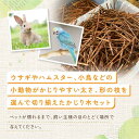 長野県大町市の画像2