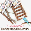 【ふるさと納税】あそぶの大好き 小動物のとまり木とはしごセット | ペット 玩具 おもちゃ 日用品 人気 おすすめ 送料無料