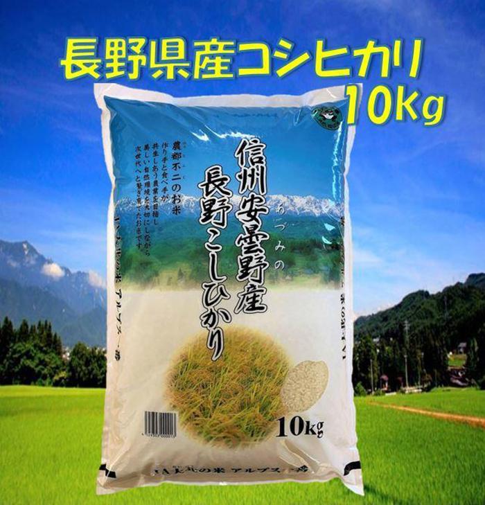 【ふるさと納税】米 コシヒカリ 長野県産 10kg | お米 こめ 白米 食品 人気...