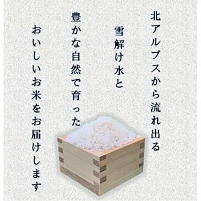 【ふるさと納税】米 コシヒカリ 長野県産 10kg | お米 こめ 白米 食品 人気 おすすめ 送料無料