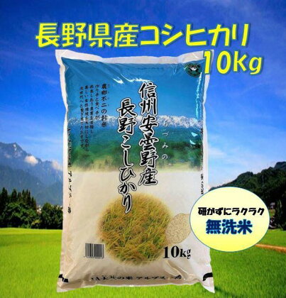 米 無洗米 コシヒカリ 長野県産 10kg | お米 こめ 白米 食品 人気 おすすめ 送料無料