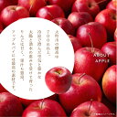長野県大町市の画像3