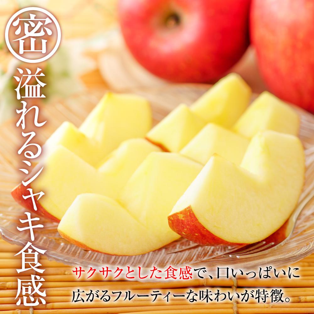 長野県大町市の画像2