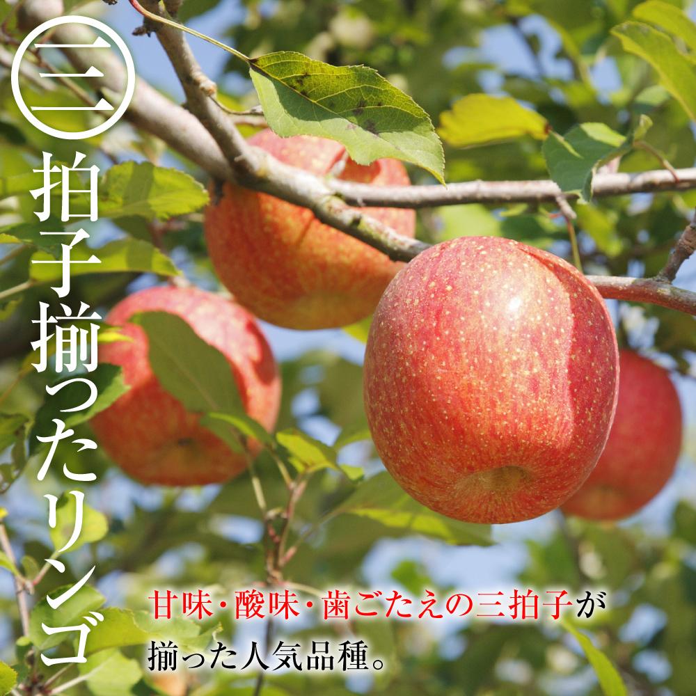 長野県大町市の画像3