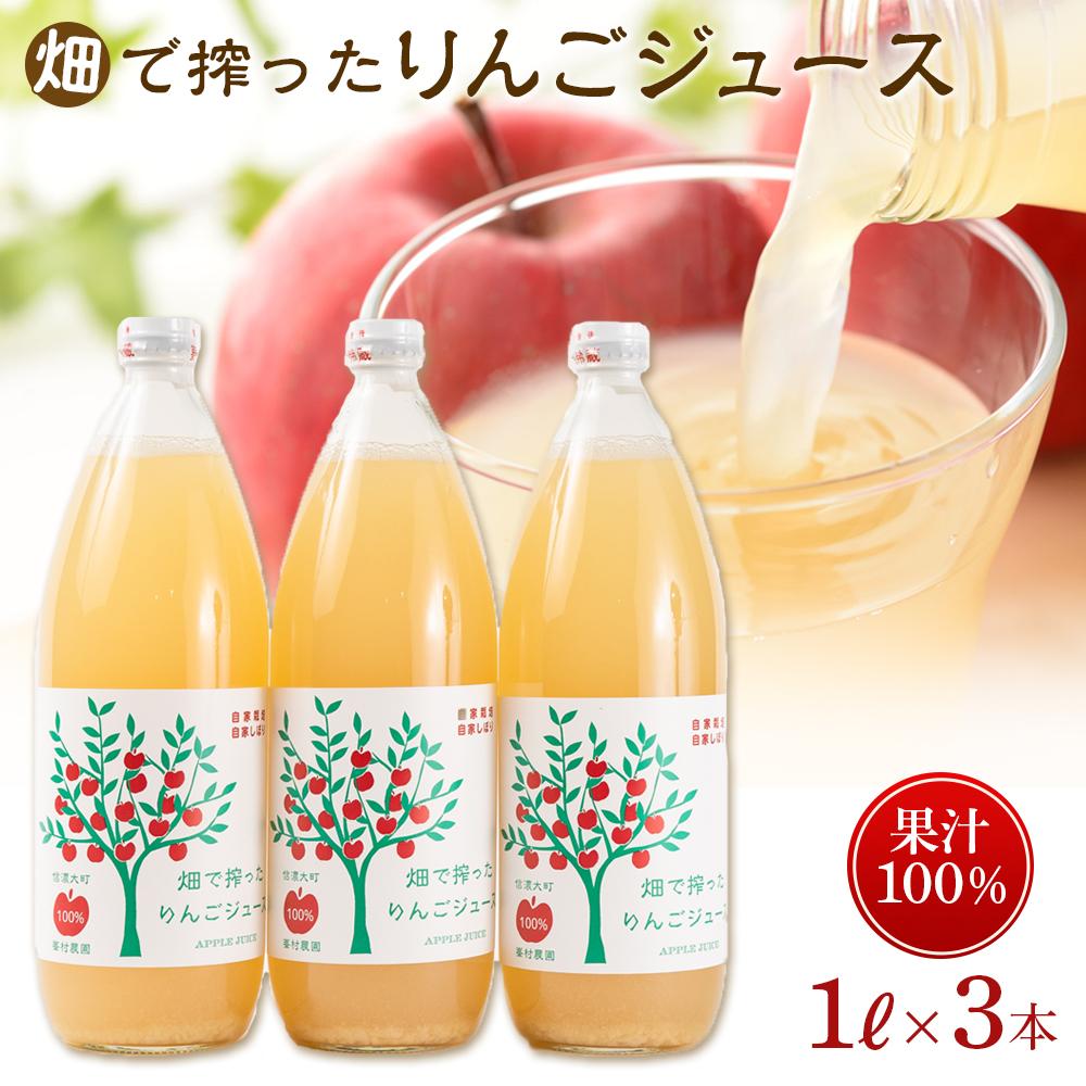 36位! 口コミ数「0件」評価「0」りんご ジュース 3本 × 各1000ml 大町産 箱入り | 飲料 果実飲料 ドリンク 食品 人気 おすすめ 送料無料