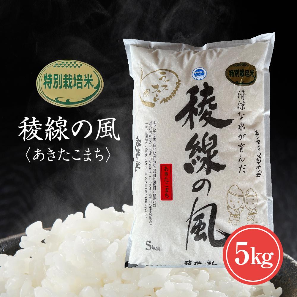 特別栽培米 稜線の風(あきたこまち) 5kg | お米 こめ 白米 食品 人気 おすすめ 送料無料