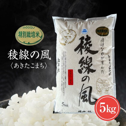 特別栽培米 稜線の風（あきたこまち） 5kg | お米 こめ 白米 食品 人気 おすすめ 送料無料