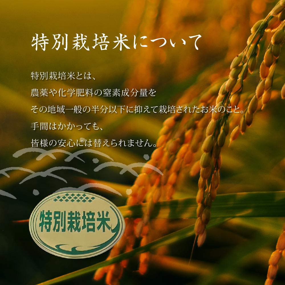 長野県大町市の画像3