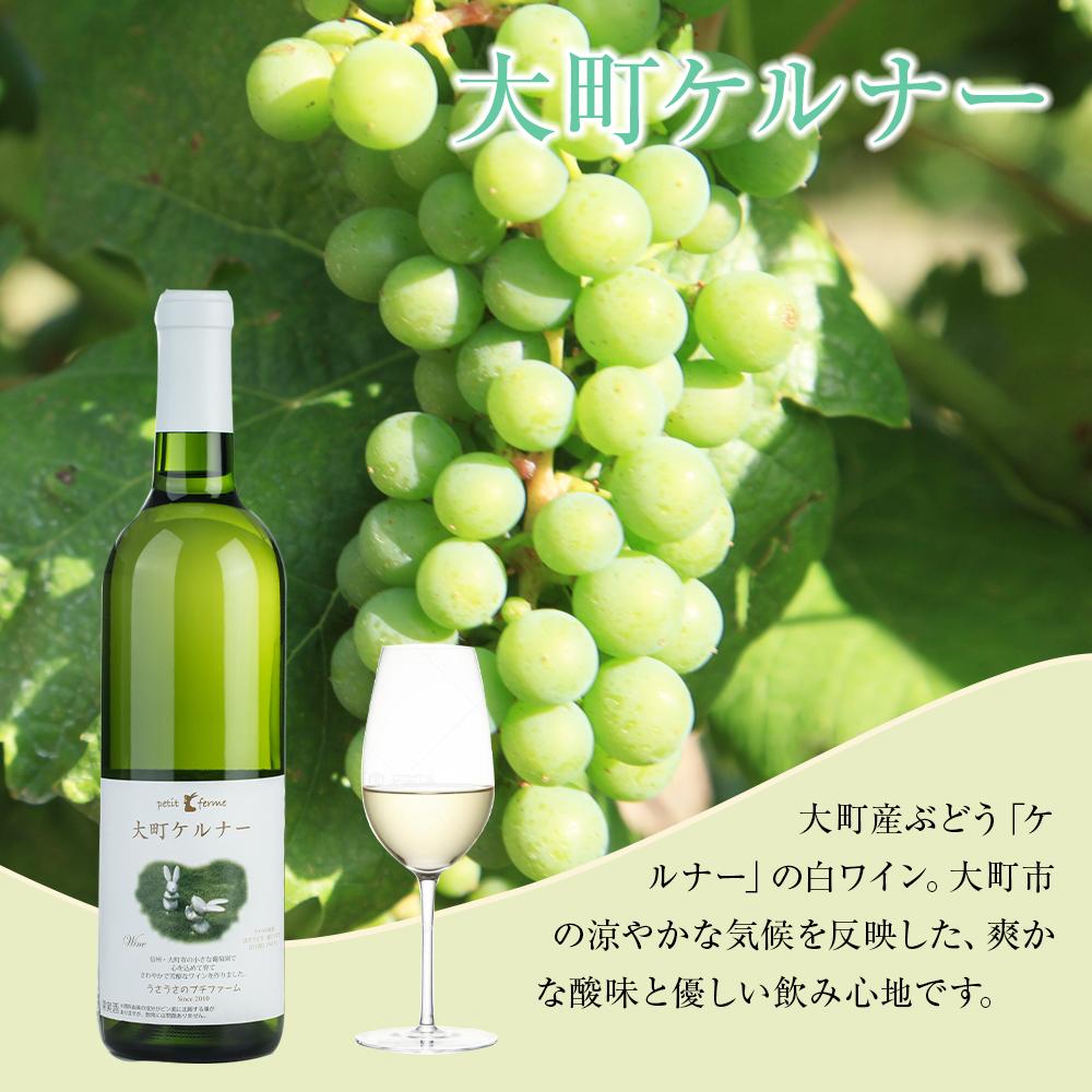 長野県大町市の画像2