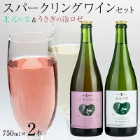 【ふるさと納税】スパークリングワインセット 北天の雫&うさぎの泡ロゼ | 長野県大町市 長野 長野県 大町 大町市 信州 ふるさと 納税 楽天ふるさと納税 支援品 返礼品 お礼の品 返礼 ワイン ロゼ ロゼワイン 白 白ワイン スパークリング スパークリングワイン アルコール