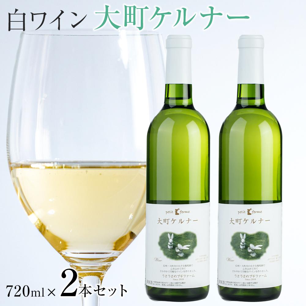 酒 ワイン 白ワイン セット 2本 × 720ml 長野県産 | お酒 さけ 人気 おすすめ 送料無料 ギフト 数量限定