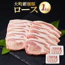 【ふるさと納税】大町銀嶺豚 ロース1kg (約100g×5枚・2パック) | 肉 お肉 にく 食品 人気 おすすめ 送料無料 ギフト