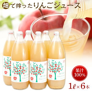 【ふるさと納税】りんご ジュース 6本 × 各1000ml 大町産 箱入り