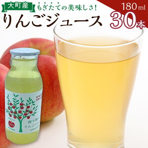 【ふるさと納税】りんご ジュース セット 30本 × 180ml 大町産