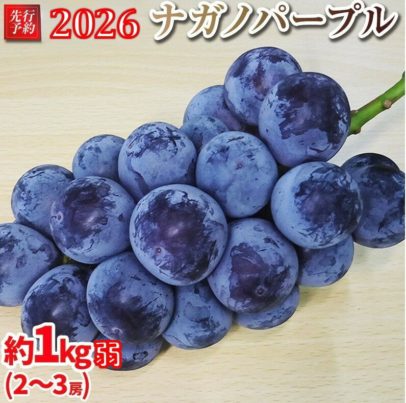 4位! 口コミ数「3件」評価「2.67」【先行予約】2026　ナガノパープル　2房～3房　約1キロ弱　長野県産 【2026年9月下旬頃～順次発送予定】国際特許有機肥料栽培 | 果物 ぶどう フルーツ ブドウ ナガノパープル 高糖度 種なし ･･･ 