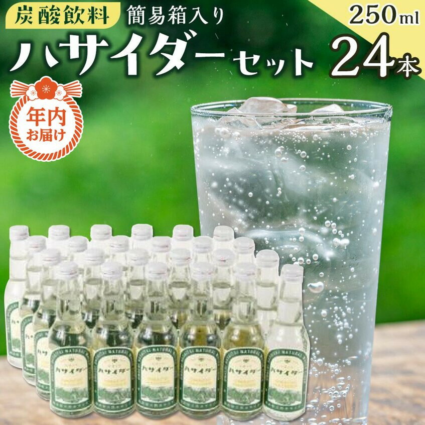34位! 口コミ数「0件」評価「0」【年内発送】【12月21日ご入金確認分まで】 炭酸飲料 サイダー セット 24本 × 250ml ハサイダー | 飲料 炭酸飲料 サイダー 地サイダー 人気 おすすめ 清涼飲料 ご当地ドリンク ギフト･･･ 