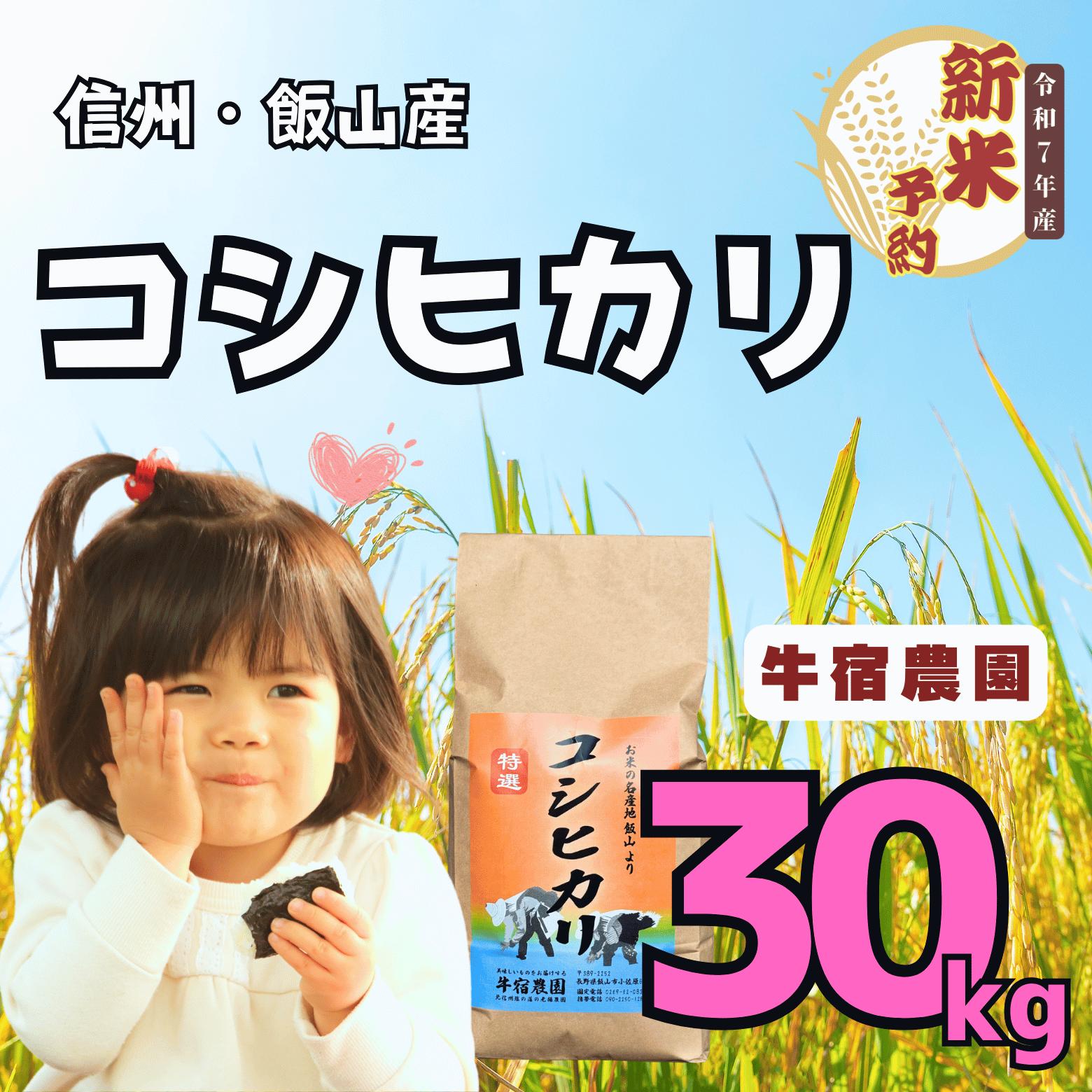 楽天市場】飯山 玄米 30kgの通販 楽天市場】飯山 玄米 30kgの通販