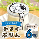 【ふるさと納税】【冷蔵発送】みるくぷりん 6個セット(Ac-003)【 長野県 飯山市 ぷりん プリン 小布施 オブセ牛乳 スイーツ 気 おすすめ 菓子 お取り...