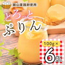 【ふるさと納税】【冷蔵発送】とろっとぷりん 6個セット(Ac-001)【 長野県 飯山市 ぷりん プリン たまご オブセ牛乳 みるく ミルク スイーツ 気 おす...