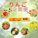 【ふるさと納税】<先行予約>飯山りんごの定期便(7-A28)<出荷開始:2025/9月上旬〜>【 林檎 りんご リンゴ 果物 くだもの フルーツ 長野 長野県 ...