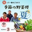 【ふるさと納税】【先行予約】〜旬っていちばんのごちそう〜ひぐらし農場 季節の野菜便(夏)中サイズ(7-A35) <出荷開始:2025年7月中旬から9月下旬ごろま...
