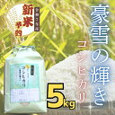 【ふるさと納税】【先行予約】<令和7年産> 服部農園 「豪雪の輝き」精米 5kg(5kg×1袋)<出荷開始:2025年11月〜>【 白米 長野県 飯山市 ギフト...