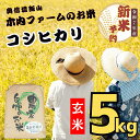 【ふるさと納税】【先行予約】<令和7年産>奥信濃飯山〜木内ファームのお米〜コシヒカリ 玄米 5kg(5kg×1袋)(7-10A)<出荷開始:2025年10月〜>...